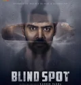 Blind Spot (2025)