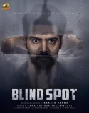 Blind Spot (2025)