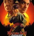 Karate Kid Legends (2025)