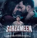 Sarzameen (2025)