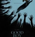 Good Boy – Movie (2025)