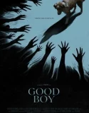 Good Boy – Movie (2025)