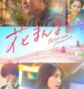 Petals And Memories (2025)