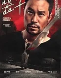 Qi zi (2025)